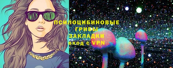 круглые Алексеевка