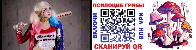 купить наркоту Дедовск Галлюциногенные грибы Psilocybine cubensis